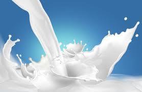ABONO A BASE DE LECHE Es muy sencillo y eficaz debido a que la leche posee cualidades antibacterianas. Se mezcla una 1 parte de leche con 10 partes de agua y queda listo para usar.