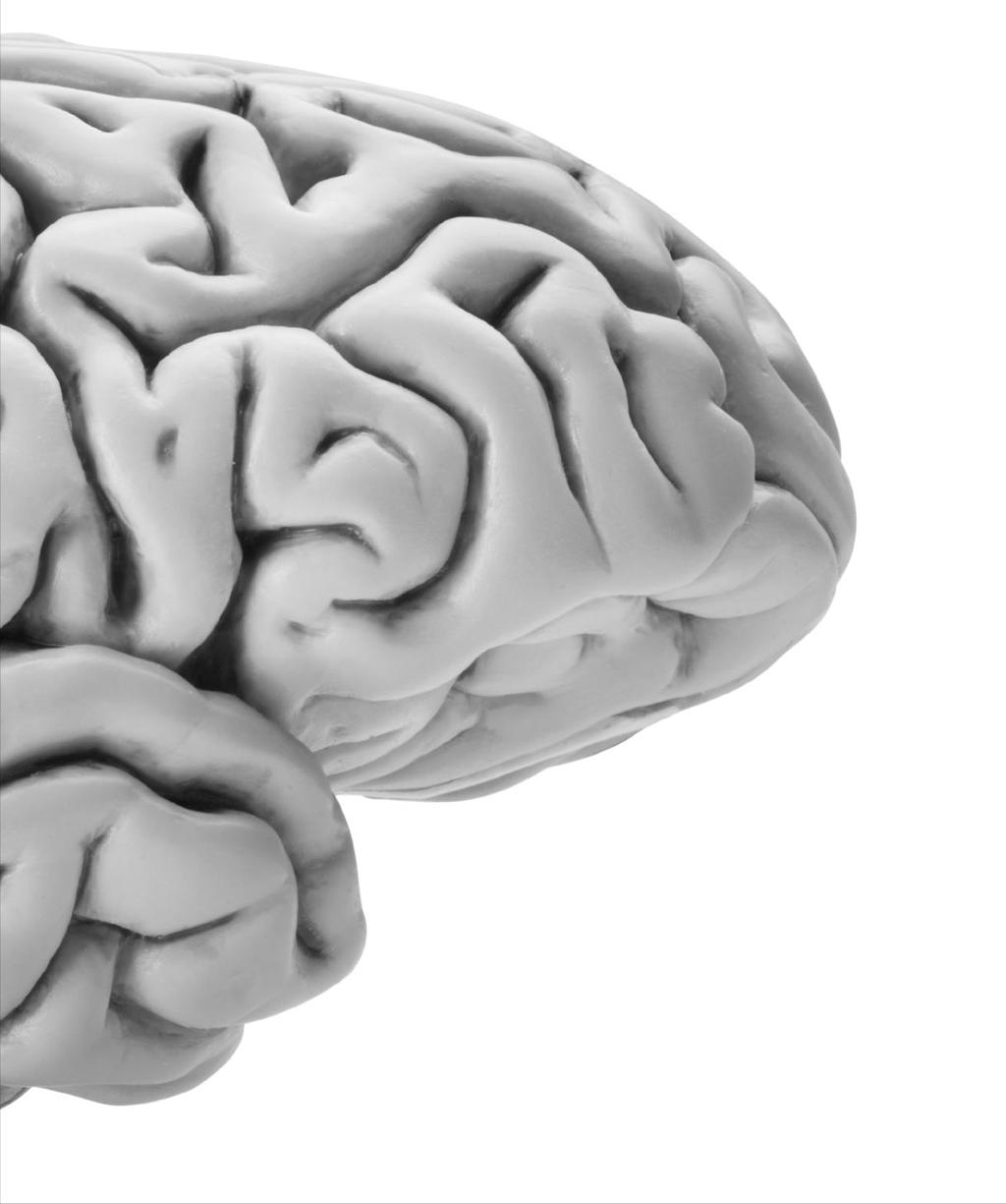Qué es neurociencia?