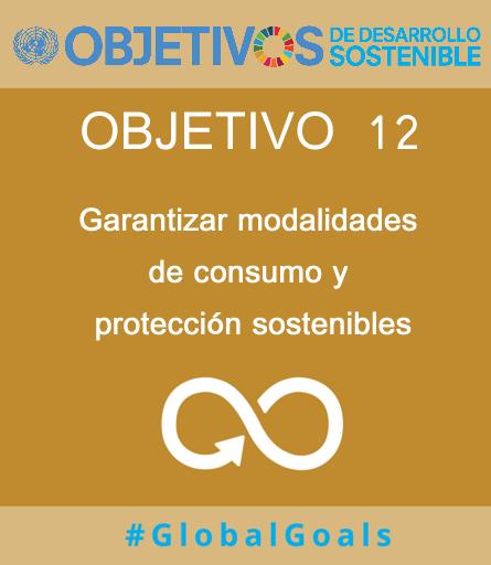 Objetivos del Desarrollo Sostenible Objetivo N 12 Garantizar