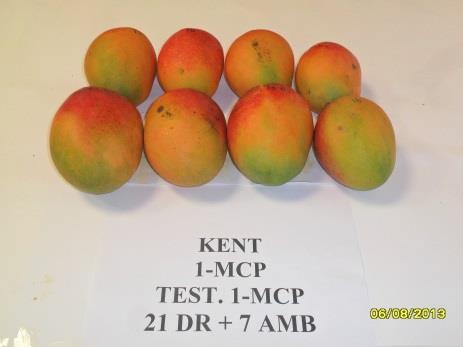 de 1-MCP acuoso sobre las principales variables de calidad en la variedad Keitt.