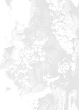 1 BIBLIOGRAFÍA Catálogo de Cavidades de la Provincia de Alicante www.cuevasalicante.com PLA SALVADOR, R. 1996, Archivo particular de actividades espeleológicas GENERALITAT VALENCIANA (1.