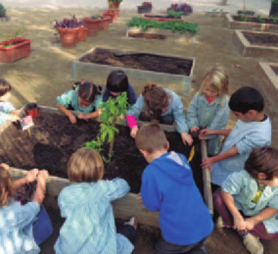 Escoles +sostenibles (hort escolar) Programa pensat per facilitar la implicació dels centres educatius en l ambiciós projecte planetari de construir un món millor i més sostenible, començant per la