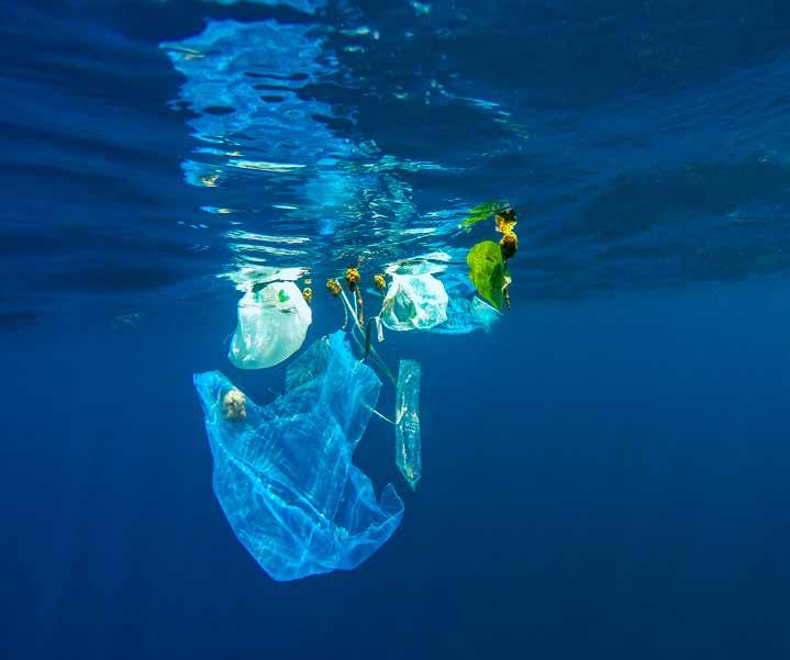 Volvo Ocean Race Programa Educativo TEMA 2 Qué es la contaminación por plástico en los océanos? El plástico está aniquilando nuestros océanos y necesitamos tu ayuda para salvar la situación.