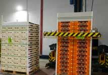 El Grupo tiene capacidad para almacenar hasta 13 millones de kilogramos de fruta y sus instalaciones de Alcarràs (Lleida) están equipadas con la última tecnología en frío. 2.