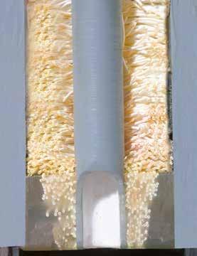 7 Eficaz FILTRO (opcional) Los secadores de membranas deben protegerse siempre con prefiltros de calidad. Los eficaces FILTROS son ideales para esta aplicación.