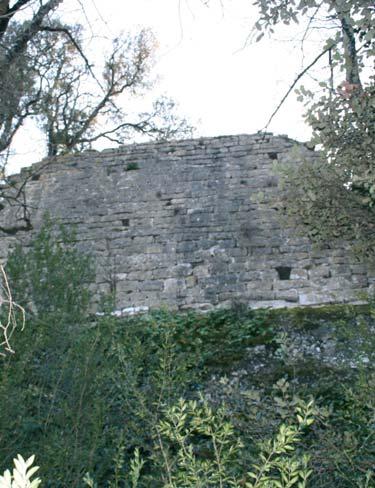 El castell de s Avellana Las ruinas del Castillo de s Avellana se encuentran detrás del Puig de Conangle, encima de un extremo rocoso y muy cercano al río Ter.