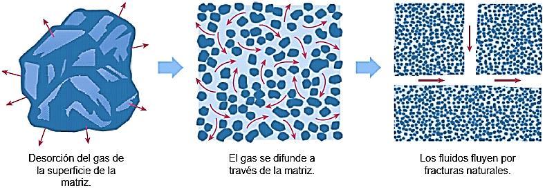 libremente según sea impulsado por presión. Cuando el gas libre migra a las fisuras puede ser considerado como un gas convencional. (Caineng et al., 2013b).