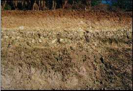 TEXTURA La textura del suelo se refiere a la proporción de componentes inorgánicos de