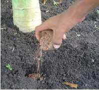 7.1. ABONOS SIMPLES. El abono (o fertilizante) es cualquier sustancia orgánica o inorgánica que mejora la calidad del sustrato, a nivel nutricional, para las plantas.