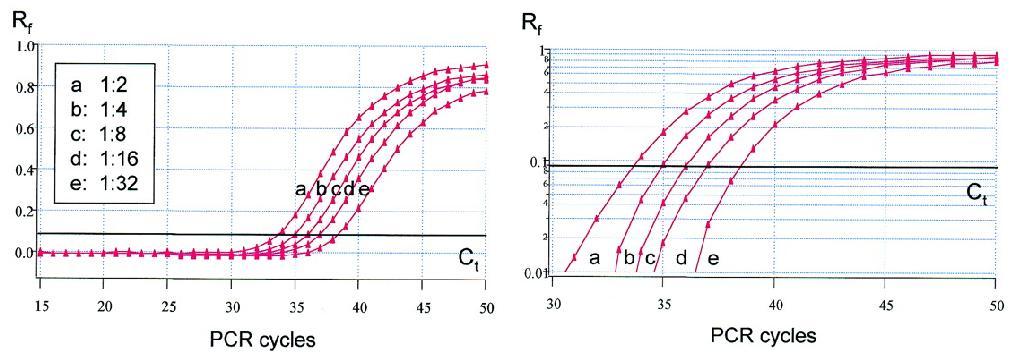 Inicialmente, la fluorescencia permanece en niveles basales, y los aumentos en la fluorescencia no son detectables aunque el producto se acumula exponencialmente (ciclos 1-18 en la Figura 1).
