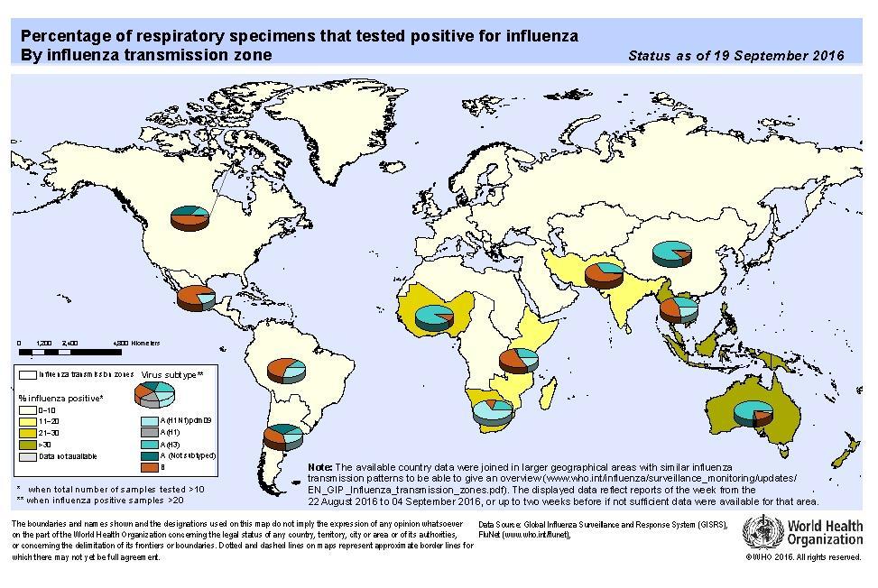 Global Level / Nivel Global Influenza Global Update 272 / Actualización de influenza nivel global 272 Influenza activity is ongoing in South Africa and increased steadily in the last few weeks in