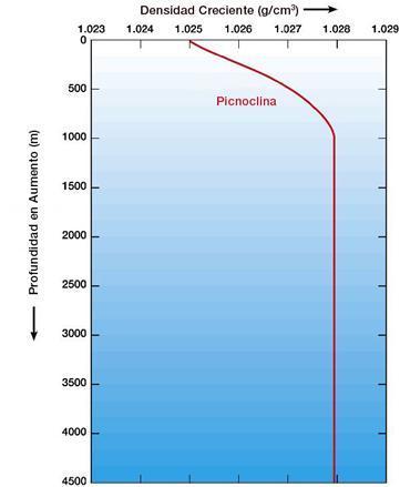 Sistema marítimo Densidad Depende de la Tª, presión y salinidad Los cambios de