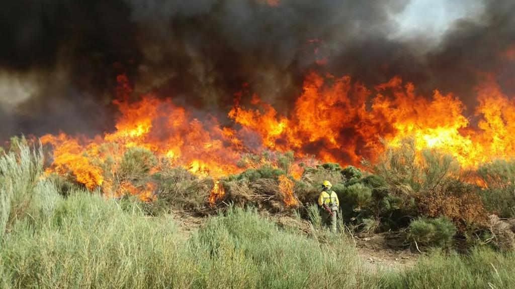 BRIF Puerto el Pico en el incendio de Navarredonda de Gredos 07/08/2017 (Ávila) Estas unidades helitransportadas de personal altamente especializado en la extinción de incendios forestales, pueden