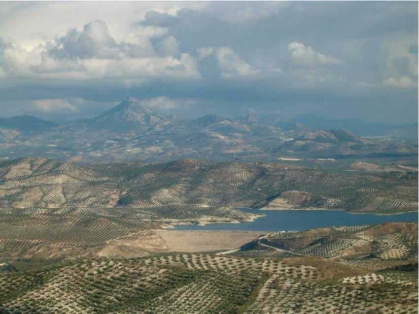 Uso agrícola del agua en Andalucía: El caso del olivar en la Cuenca del Guadalquivir Córdoba, 18 de