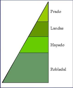 2. IDENTIFICACIÓN DE LOS ELEMENTOS En el eje vertical se mide la altitud de la elevación montañosa y sobre el horizontal se