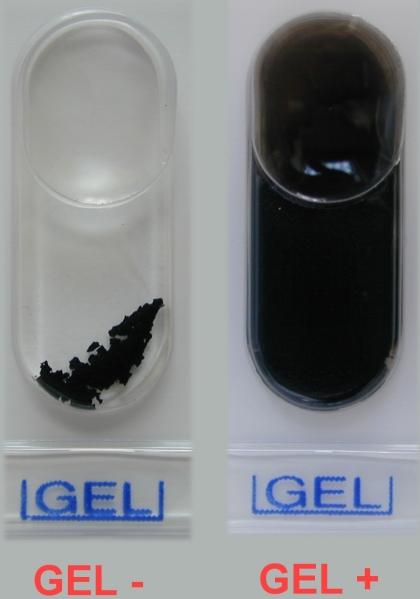 Licuefacción de la gelatina Gelatina Nutritiva Sustrato: Gelatina (proteína). Enzima: Gelatinasa (Proteasa, exoenzima). Producto: Aminoácidos.