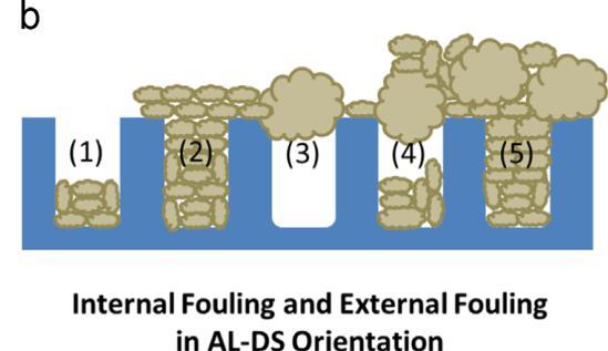 Fouling y limpieza - I Fouling coloidal Deposición de partículas coloidales Fouling orgánico Deposición y adsorción de compuestos orgánicos macromoleculares Biofouling Adhesión y acumulación de