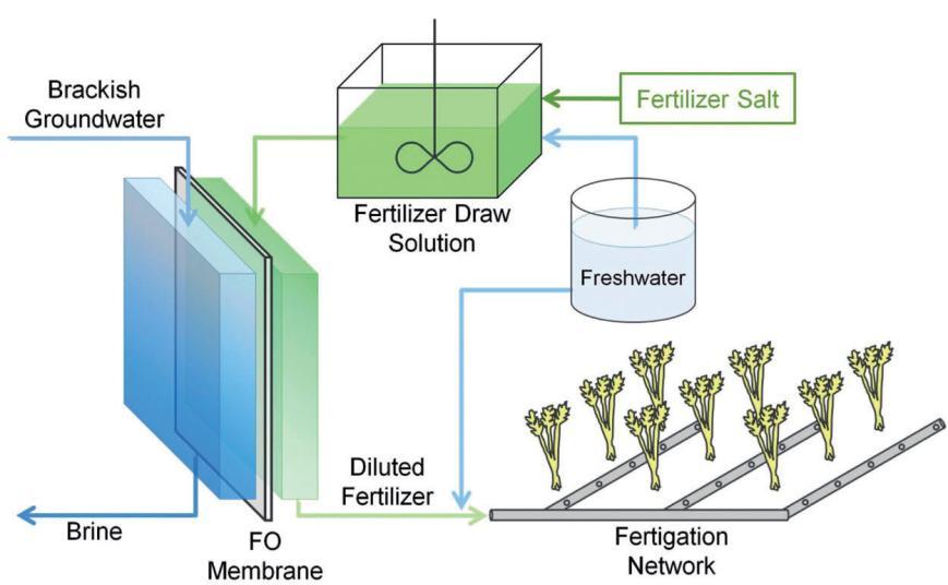 Fertirrigación Se utiliza la solución de fertilizante (concentrada) como solución extractora para que una vez diluida a partir de una fuente impropia de agua se puede valorizar como fertilizante NF