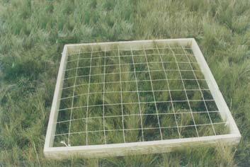 La caracterización de la vegetación y flora incluyó el uso de transectos de 10 m, asi como el método del cuadrado (1 m 2 ).