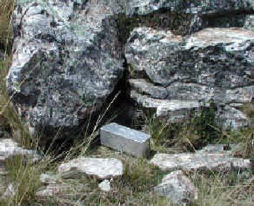 Febrero, 2006 Estudio de Impacto Ambiental Suplementario Yanacocha Oeste Página 219 Los reptiles fueron capturados levantando pequeñas rocas, para después fotografiarlos, determinar el sexo,