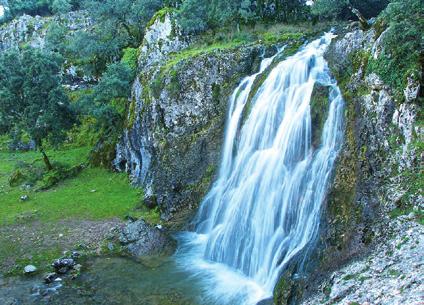 Los grandes saltos de agua que encontramos en la naturaleza suelen coincidir con la presencia de fallas en el terreno, como es el caso de Las Chorreras.