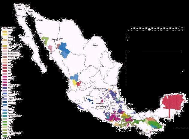 Las lenguas indígenas 4 agrupaciones lingüísticas concentran el mayor número de hablantes: náhuatl con un 1.