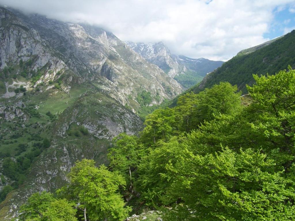 Asturias) Vista del Valle del