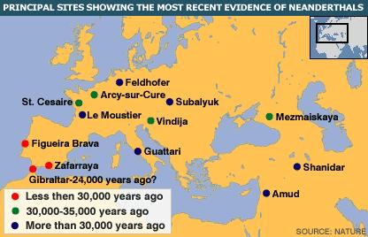 Yacimientos neandertales más recientes. Península ibérica: El Sidrón: 48.500-49.300 B.P. Cova negra: 40.000 B.P. Cueva de Nerja: 40.000 B.P. Cueva Gorham: 24.000-28.000B.P. Europa central: Saint-Césaire 36.