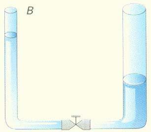 EJERCICIO 16 La figura muestra varios recipientes de distinta forma unidos por su base (vasos comunicantes) en los que se