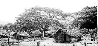 Surgen los pueblos de Encontrados, Casigua El Cubo, entre otros. Estos territorios estaban habitados por aborígenes Barí, Yukpas y algunos Guajiros.