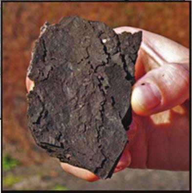 Roca con tamaño de grano extremadamente pequeño y alto porcentaje de