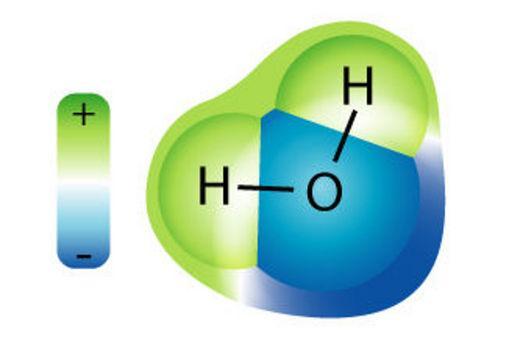 La Molécula de Agua Ya que el oxígeno tiene una electronegatividad superior a la del hidrógeno, el agua es una molécula polar.