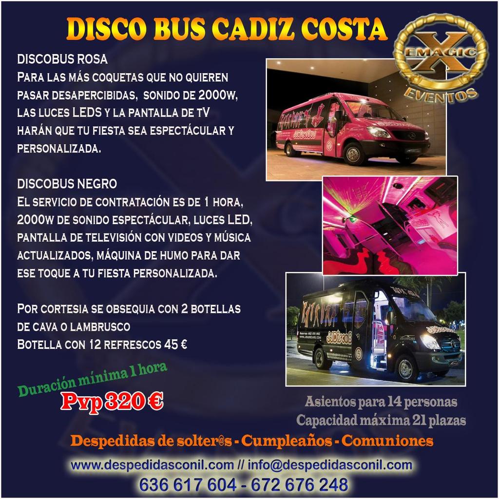 Disco bus
