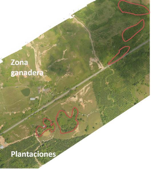 Fotografía 1-1 Tamaño y forma de los fragmentos de los ecosistemas naturales en la UF 2, municipio de Barrancabermeja En