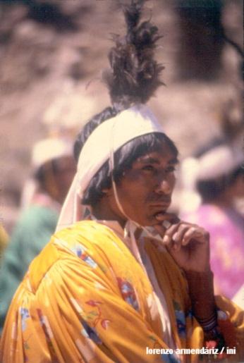de la Nación sustentada en sus pueblos indígenas Define