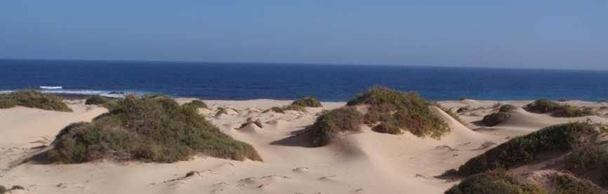 VIII. SUELOS GRANULARES 53 Esta unidad está constituida por depósitos de playa de arena suelta oscura de naturaleza basáltica o arena clara de naturaleza silícea o calcárea, en