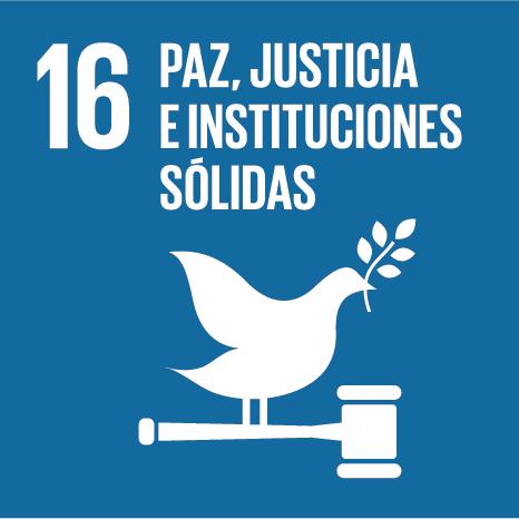 7 Garantizar la adopción de decisiones inclusivas, participativas y representativas que respondan a las necesidades a todos los niveles. 16.