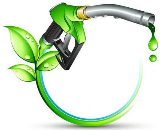 biocombustibles son vistos