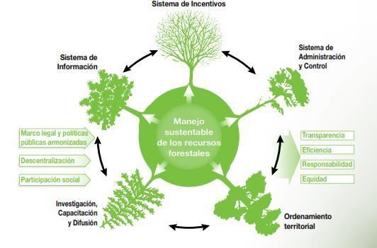 1. Conceptualización Gobernanza Forestal Modelo de Gobernanza forestal se basa en cinco ejes que promueven la