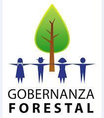 1. Conceptualización Conceptos: Gobernanza Forestal: es el modus operandi por el cual la población, los actores claves y las instituciones