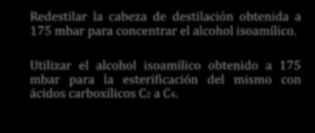 El contenido de alcohol isoamílico presente en la fracción destilada-cabeza- es la mas alta obtenida entre los congenéricos destilados a