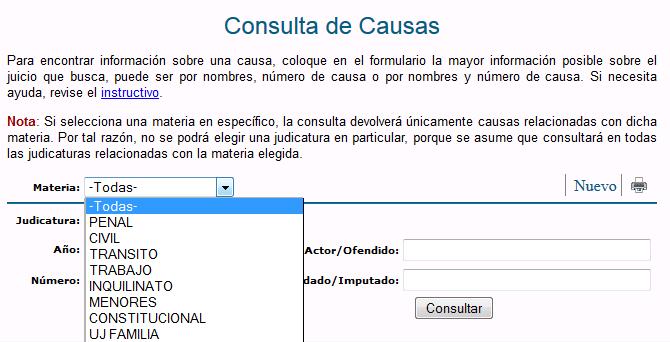 CONSULTA DE CAUSAS EN INTERNET