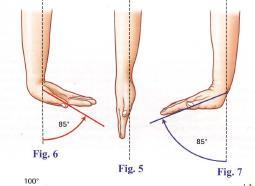 La mano se compone por 27 huesos distribuidos en 3 zonas (figura 1.4): Figura (2). Movimiento de flexo.