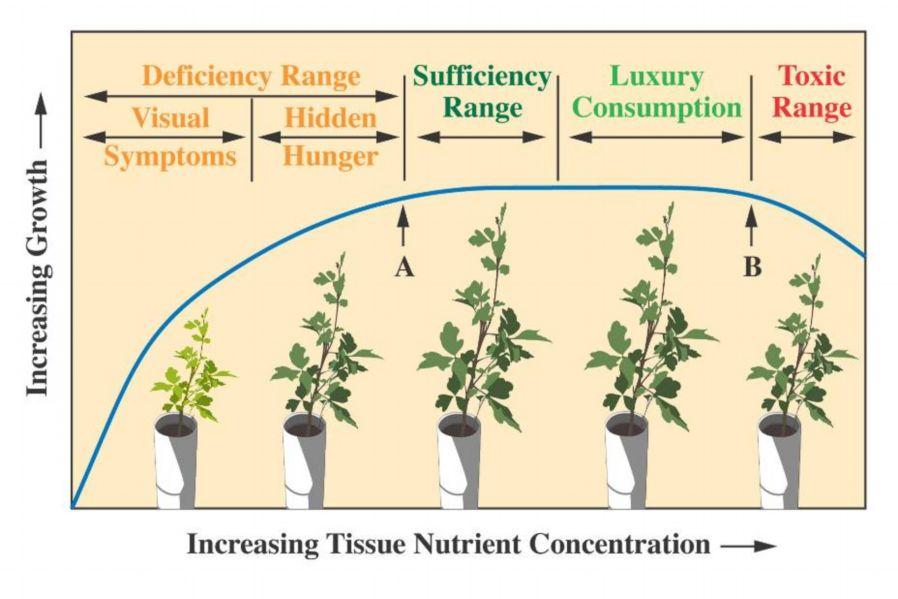 Dosis, formulaciones y fuentes de fertilizante