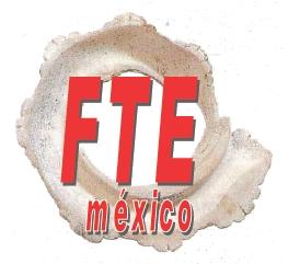 Boletín del FRENTE DE TRABAJADORES DE LA ENERGIA de MEXICO Organización obrera afiliada a la FEDERACION SINDICAL MUNDIAL www.fte-energia.org prensa@fte-energia.org http://twitter.