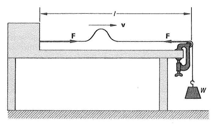 Fig. 5 (a) Producción y propagación de una onda transversal periódica.