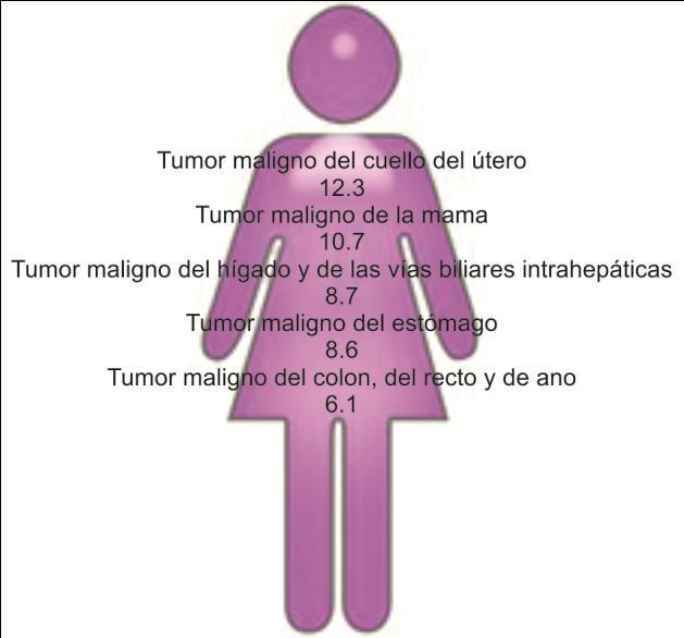 PÁGINA 6/11 Porcentaje de defunciones por tumores (neoplasias) según sexo y año de registro 18.0 16.0 14.0 12.0 10.0 16.6 16.0 15.2 14.8 15.1 15.3 15.2 15.0 15.2 15.0 13.8 13.5 13.6 13.9 14.0 13.7 14.
