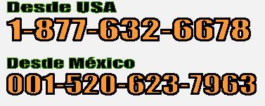 El Consulado General de México ofrece servicios los sábados de 8:00 am a 2:00