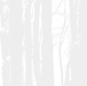 INSERTABLES Aralar Nere Teide Teide curvo Teide prismático Laida 58 58 63 63 64 65 Aneto Abodi Abodi P/E Andrea Andrea P/E 65 68 68 69 69 Todos los insertables de Lacunza están fabricados en hierro