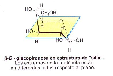 Figura 3.11. Conformaciones espaciales de la D-glucopiranosa Hay varios monosacáridos de interés biológico Triosas: El gliceraldehído (aldotriosa) que participa en el metabolismo de la glucosa.